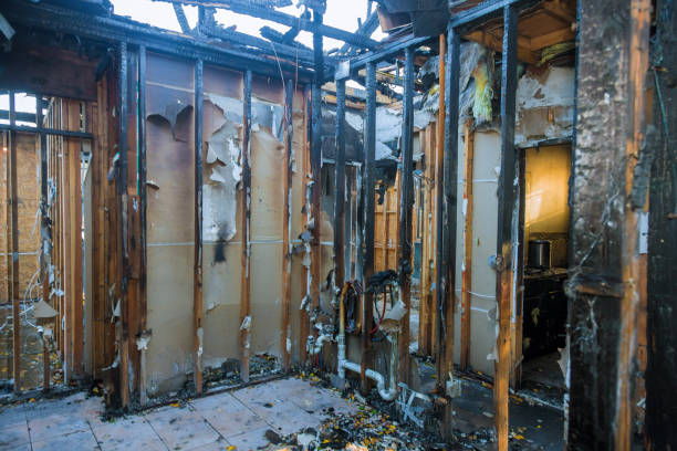Professional Odor Removal technician working in Brookside, AL
